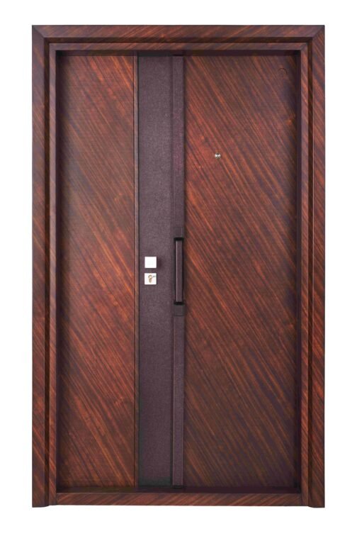 Home Aesthetics: How Steel Doors Can Elevate Your Interior & Exterior Design